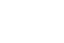 Ricciani Foundation Logo